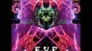 Holographic Consciousness  EVP [upl. by Anauqahs395]