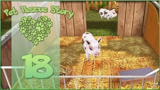 Pet Rescue Story  Three Little Piggies  Episode 18 [upl. by Philine]