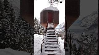 Norways Luxury Tree House shortsvideo [upl. by Sandro195]