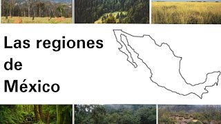 Las regiones de México  Geografía [upl. by Wohlen]