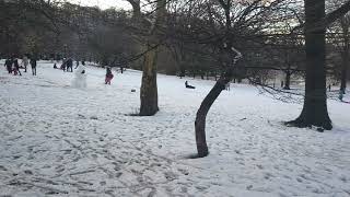 Sleigh Riding in Inwood Hill Park [upl. by Edveh]