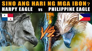 Philippine Eagle vs Harpy Eagle  Sino ang HARI NG MGA AGILA  The Strongest Eagle in The World [upl. by Ihcas]