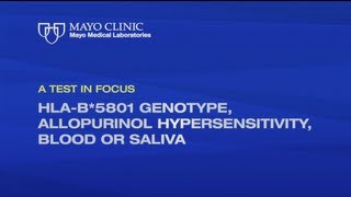 A Test in Focus HLAB5801 Genotype Allopurinol Hypersensitivity [upl. by Scevo]