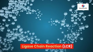 Ligase Chain Reaction LCR [upl. by Myers]