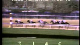 Secretariat  1973 Wood Memorial G1 [upl. by Derick447]