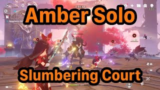 Amber SOLO Slumbering Court Domain no damage taken [upl. by Eirojam]