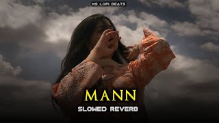 Mann Slowed amp Reverb  NS Lofi Beats [upl. by Launcelot]