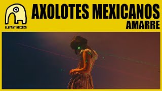 AXOLOTES MEXICANOS  Amarre Official [upl. by Shepp]