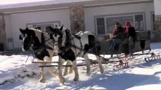 Sleigh Rides at Homestead Resort [upl. by Nigen]