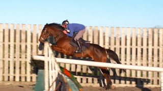 Lostintranslation Thistlecrack Native River  Colin Tizzard’s Stable Stars visit with Robbie Power [upl. by Adolpho275]