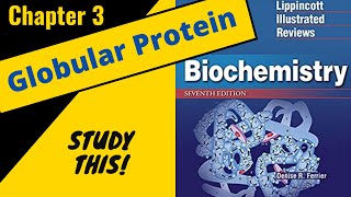 Lippincotts Biochemistry Review Chapter 3 Globular Proteins  Study This [upl. by Airotahs157]