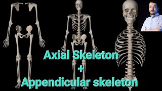 Introduction to skeletal system 2nd part  Axial amp Appendicular skeleton  dentalstudent anatomy [upl. by Rramal]