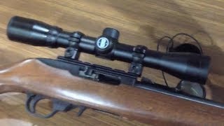 Bushnell 22 Rimfire 4X Scope on a Ruger 1022 [upl. by Ogden]