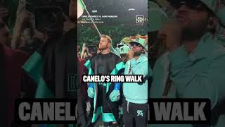 CANELOS RING WALK 🤩🔥 [upl. by Aneehsor972]