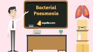 Bacterial Pneumonia  Animation  Medical Pathology Video  VLearning™  sqadiacom [upl. by Inger]