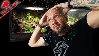 INSTALLER UN BRUMISATEUR DANS UN TERRARIUM [upl. by Palestine]