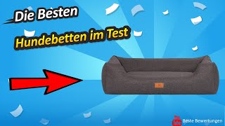 ✅ Hundebetten Test 2022  Die besten Hundebetten Bewertungen [upl. by Eibob]