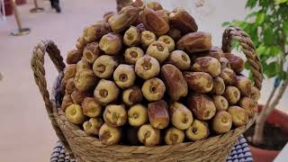 Buraidah Dates Carnival كرنفال بريده للتمور Dates buraidah Carnival buraidahdates [upl. by Aivad]