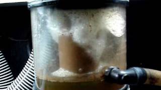 AquaC EV 180 Protein Skimmer In Action [upl. by Natalee]