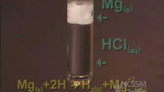 Reaction of Mg with HCl [upl. by Nyhagen271]