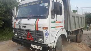 TATA 1615 TIPPER CHASSIS ENGINE NUMBER LOCATION [upl. by Rives]