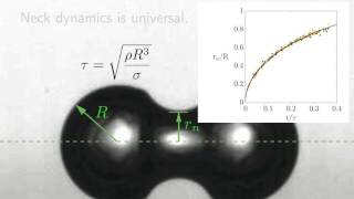 Diffusivelygrowing gas bubble coalescence [upl. by Mignon]