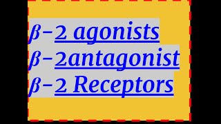 β 2 agonists antagonists amp receptors [upl. by Enaoj]