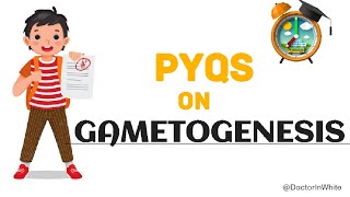 GAMETOGENESIS  TOP 15 QUESTIONS  FREQUENTLY ASKED  PYQs  OOGENESIS  SPERMATOGENESIS  pyqs [upl. by Mateo]