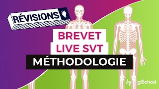 Brevet 2017  Méthodologie pour la SVT en live avec digiSchool [upl. by Terry967]