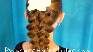 Illusion Braid Ponytail  Unique Braiding Hairstyles [upl. by Oliver]