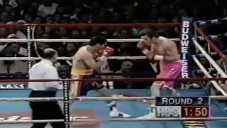 WOW WHAT A KNOCKOUT  Julio Cesar Chavez vs Scott Walker Full HD Highlights [upl. by Cecilius]