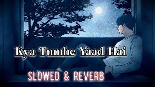 Kya Tumhe Yaad Hai  Slowed amp Reverb  Hindi Lofi Song  Kya Tumhe Yaad Hai Udit Narayan Lofi Song [upl. by Aniehs]