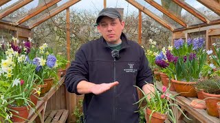 Astonishing Spring Plants For Pots With Head Gardener Dan Cartwright [upl. by Francesca]