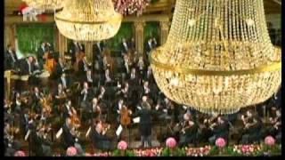 The Vienna Philharmonic New Years Concert 2011  Johann Strauss  Waltzer HD [upl. by Onoitna]