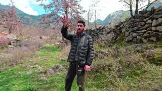 Srinagar Beyond Expectations  A Remarkable Hiking Experience in the Underrated Hills INS3EP73 [upl. by Eitsrik]