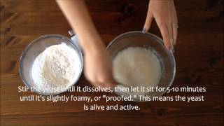 Girl Versus Dough Instant Yeast vs Active Dry Yeast [upl. by Eiramlatsyrc956]