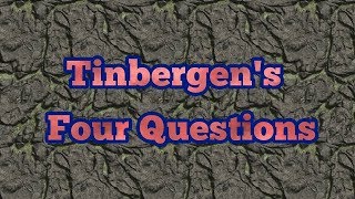 Tinbergens four questions [upl. by Nuri]