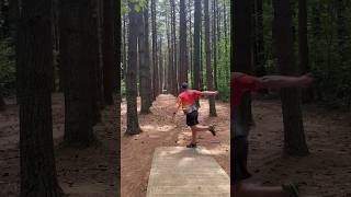 When you make it through a hallway of trees and it looks awesome frolf discgolfshorts discgolf [upl. by Kcirddec]