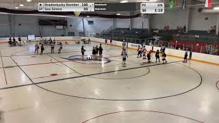 Bradentucky Bombers vs The Big Easy and AND Nuclear Bombshells vs Tampa Sea Sirens [upl. by Stark]