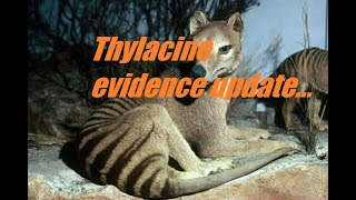 Thylacine Evidence Investigation with Mark Taylor amp Neil Waters in NE Tasmania [upl. by Irmine]