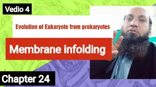 Membrane infolding hypothesis  Evolution of Eukaryote from prokaryotes [upl. by Rollins]