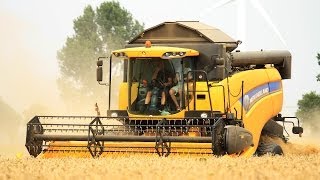 New Holland CX5080 and Ford 4600  Harvesting grain  Graanoogst  Getreideernte  Steyr  6140 [upl. by Ekyt203]