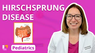 Hirschsprung Disease Alterations in Health  Gastrointestinal Pediatric Nursing  LevelUpRN [upl. by Mcgruter]