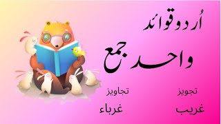 Wahid Jamaواحد جمعSingular Plural in UrduWahid Jammah  Informative kids Learning Songs [upl. by Farrish]