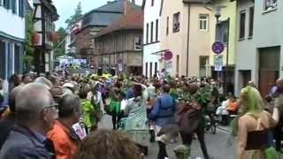 Groß Umstadt Winzerfest 2014 Umzug Teil 2 [upl. by Risteau64]