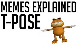 TPose Memes Explained [upl. by Bondie6]