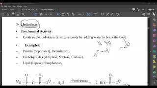 L16 Naming of Enzymes [upl. by Tito]