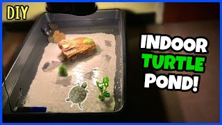 DIY Mini Indoor TURTLE POND [upl. by Hen645]