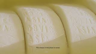 Real Talk with Murrays Cheese Asiago [upl. by Eido]