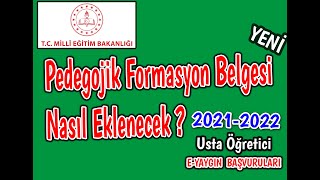 pedogojik formasyon belgesi nasıl ve nereye yüklenir usta öğretici başvuruları [upl. by Abisha428]